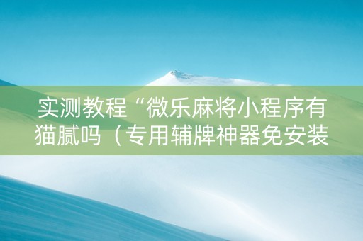 实测教程“微乐麻将小程序有猫腻吗（专用辅牌神器免安装）