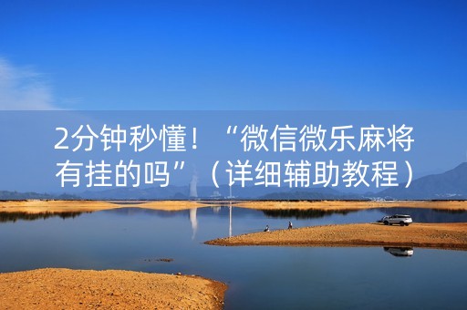 2分钟秒懂！“微信微乐麻将有挂的吗”（详细辅助教程）-哔哩哔哩