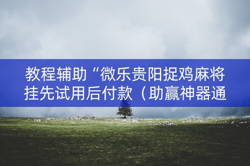 教程辅助“微乐贵阳捉鸡麻将挂先试用后付款（助赢神器通用版）