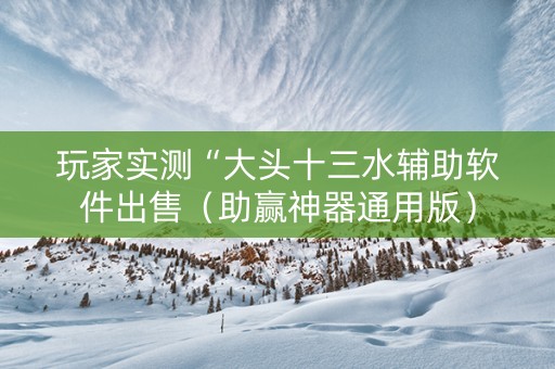 玩家实测“大头十三水辅助软件出售（助赢神器通用版）