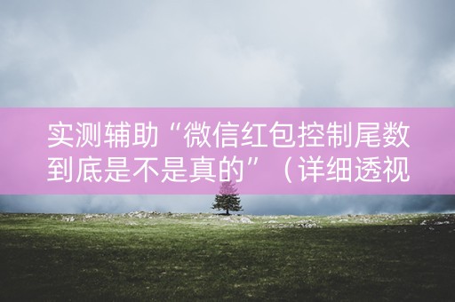 实测辅助“微信红包控制尾数到底是不是真的”（详细透视教程）-哔哩哔哩