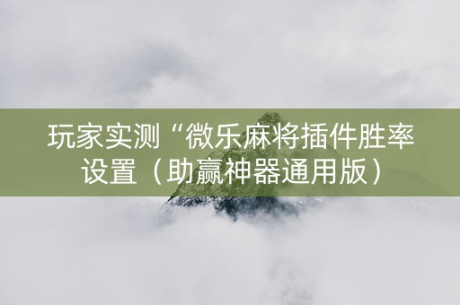 玩家实测“微乐麻将插件胜率设置（助赢神器通用版）
