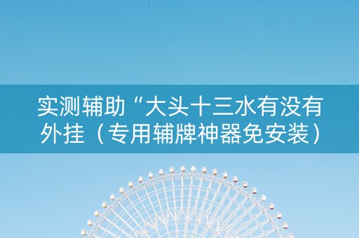 实测辅助“大头十三水有没有外挂（专用辅牌神器免安装）