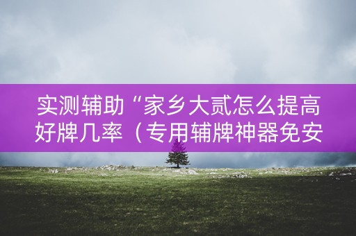实测辅助“家乡大贰怎么提高好牌几率（专用辅牌神器免安装）