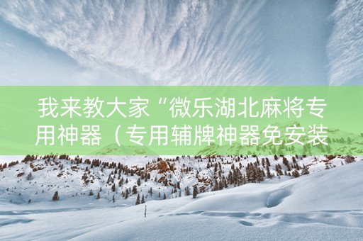 我来教大家“微乐湖北麻将专用神器（专用辅牌神器免安装）