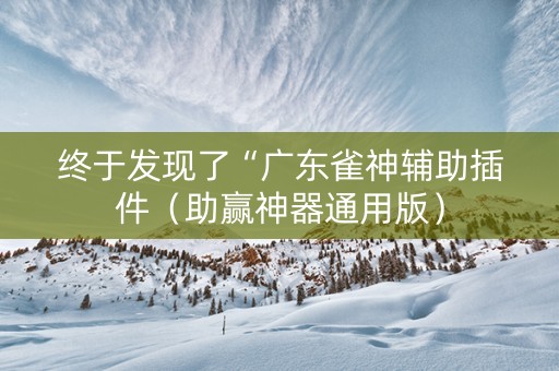 终于发现了“广东雀神辅助插件（助赢神器通用版）