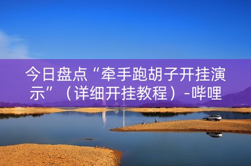 今日盘点“牵手跑胡子开挂演示”（详细开挂教程）-哔哩哔哩