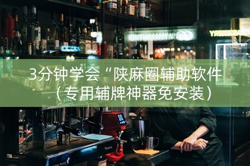 3分钟学会“陕麻圈辅助软件（专用辅牌神器免安装）