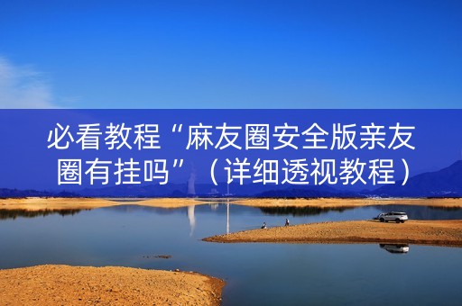 必看教程“麻友圈安全版亲友圈有挂吗”（详细透视教程）-哔哩哔哩