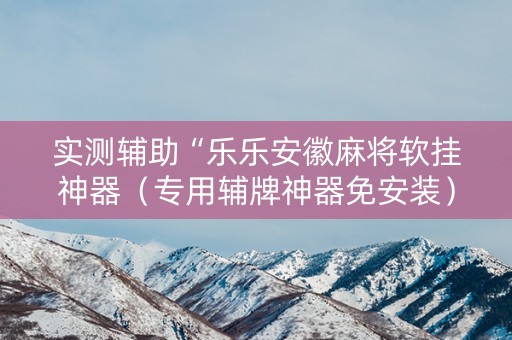 实测辅助“乐乐安徽麻将软挂神器（专用辅牌神器免安装）