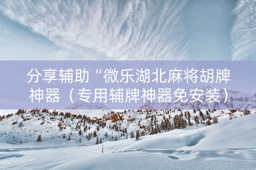 分享辅助“微乐湖北麻将胡牌神器（专用辅牌神器免安装）