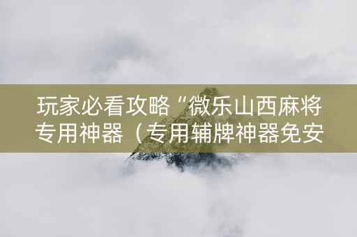 玩家必看攻略“微乐山西麻将专用神器（专用辅牌神器免安装）
