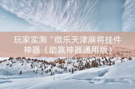 玩家实测“微乐天津麻将挂件神器（助赢神器通用版）