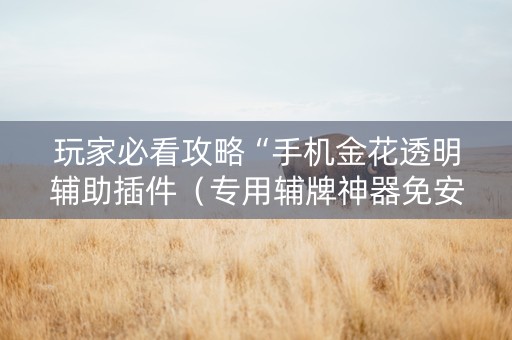 玩家必看攻略“手机金花透明辅助插件（专用辅牌神器免安装）