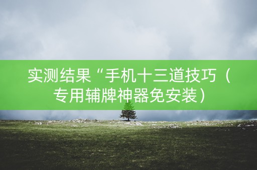 实测结果“手机十三道技巧（专用辅牌神器免安装）