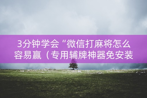 3分钟学会“微信打麻将怎么容易赢（专用辅牌神器免安装）