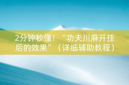 2分钟秒懂！“功夫川麻开挂后的效果”（详细辅助教程）-哔哩哔哩