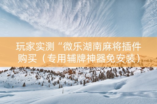 玩家实测“微乐湖南麻将插件购买（专用辅牌神器免安装）