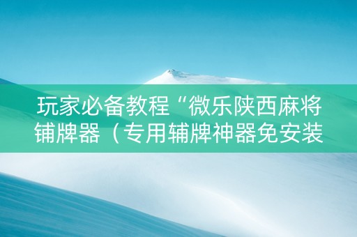 玩家必备教程“微乐陕西麻将铺牌器（专用辅牌神器免安装）