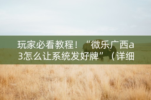 玩家必看教程！“微乐广西a3怎么让系统发好牌”（详细辅助教程）-哔哩哔哩