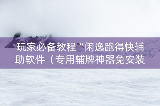 玩家必备教程“闲逸跑得快辅助软件（专用辅牌神器免安装）
