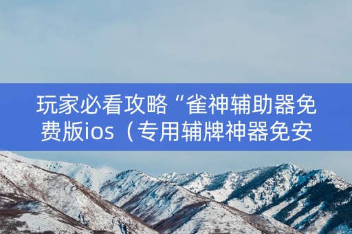 玩家必看攻略“雀神辅助器免费版ios（专用辅牌神器免安装）