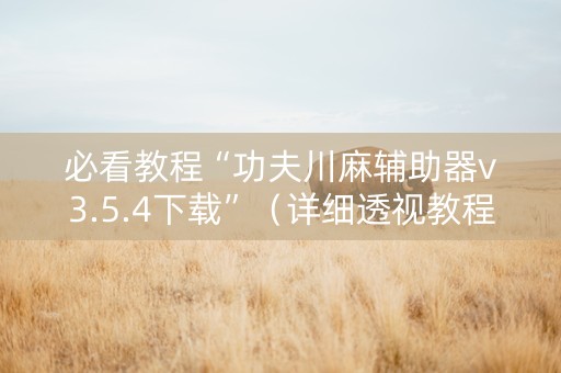 必看教程“功夫川麻辅助器v3.5.4下载”（详细透视教程）-哔哩哔哩