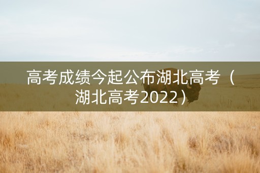 高考成绩今起公布湖北高考（湖北高考2022）
