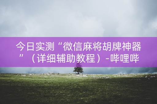 今日实测“微信麻将胡牌神器”（详细辅助教程）-哔哩哔哩