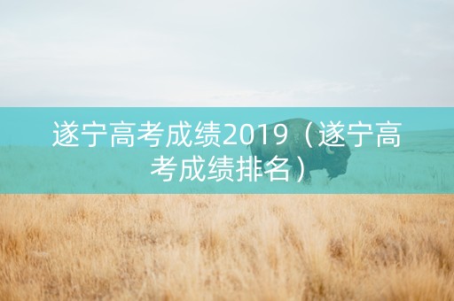 遂宁高考成绩2019（遂宁高考成绩排名）