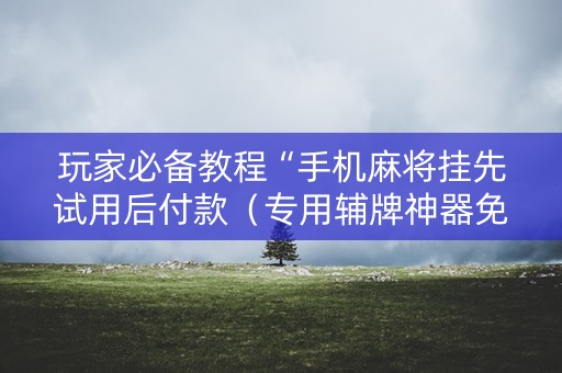 玩家必备教程“手机麻将挂先试用后付款（专用辅牌神器免安装）
