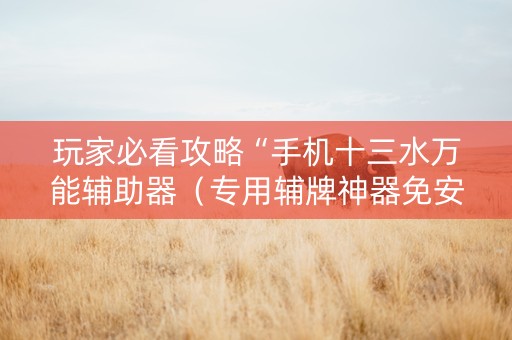 玩家必看攻略“手机十三水万能辅助器（专用辅牌神器免安装）
