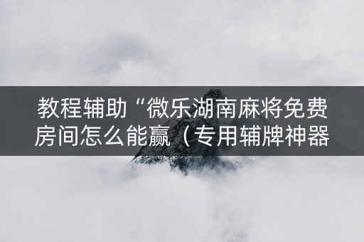 教程辅助“微乐湖南麻将免费房间怎么能赢（专用辅牌神器免安装）