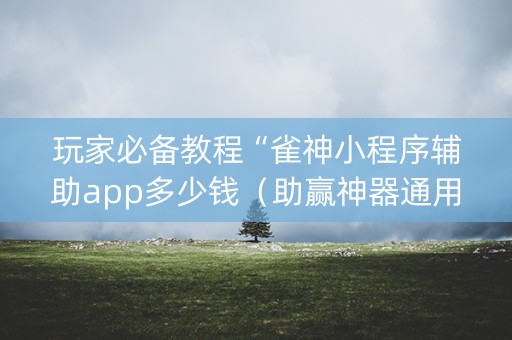 玩家必备教程“雀神小程序辅助app多少钱（助赢神器通用版）