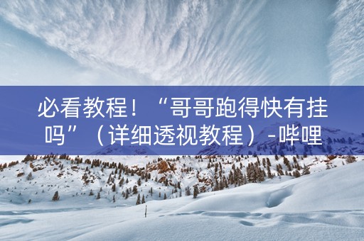 必看教程！“哥哥跑得快有挂吗”（详细透视教程）-哔哩哔哩