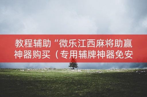 教程辅助“微乐江西麻将助赢神器购买（专用辅牌神器免安装）