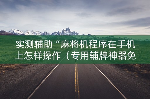实测辅助“麻将机程序在手机上怎样操作（专用辅牌神器免安装）