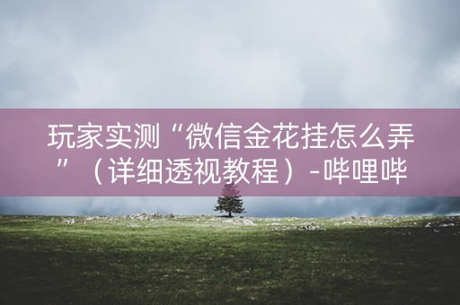 玩家实测“微信金花挂怎么弄”（详细透视教程）-哔哩哔哩