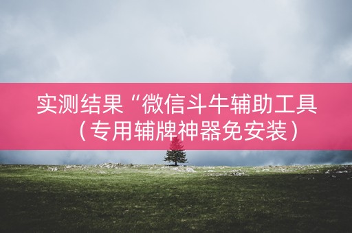 实测结果“微信斗牛辅助工具（专用辅牌神器免安装）