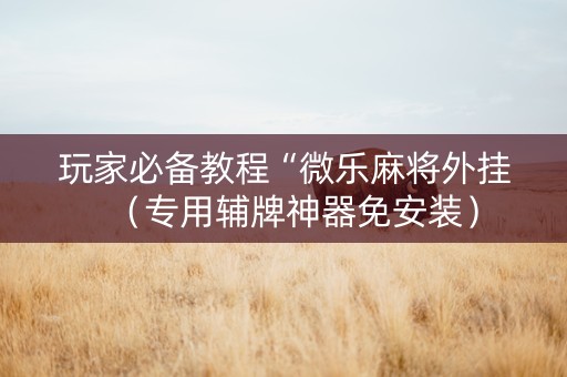 玩家必备教程“微乐麻将外挂（专用辅牌神器免安装）