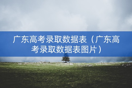 广东高考录取数据表（广东高考录取数据表图片）