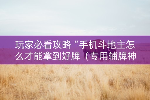 玩家必看攻略“手机斗地主怎么才能拿到好牌（专用辅牌神器免安装）