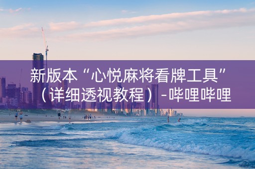 新版本“心悦麻将看牌工具”（详细透视教程）-哔哩哔哩