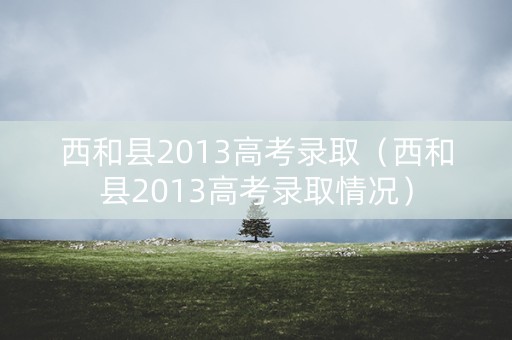 西和县2013高考录取（西和县2013高考录取情况）