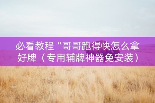 必看教程“哥哥跑得快怎么拿好牌（专用辅牌神器免安装）