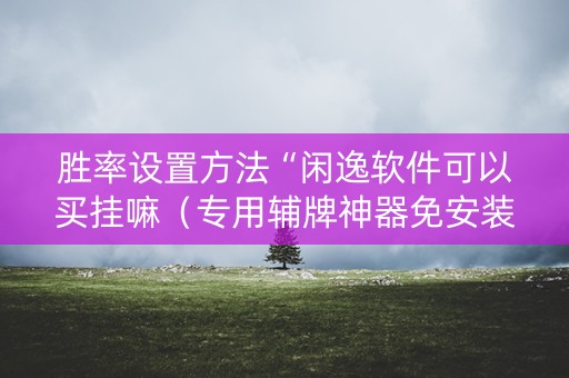 胜率设置方法“闲逸软件可以买挂嘛（专用辅牌神器免安装）