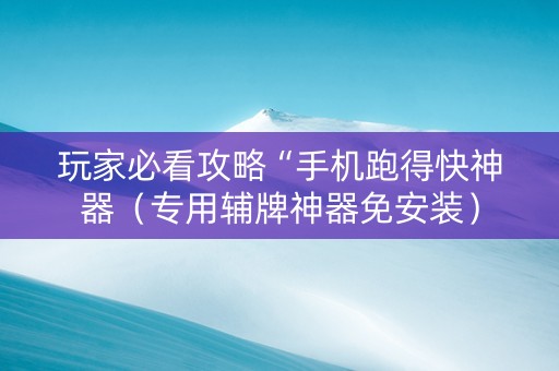 玩家必看攻略“手机跑得快神器（专用辅牌神器免安装）