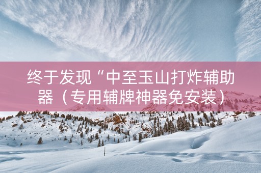 终于发现“中至玉山打炸辅助器（专用辅牌神器免安装）