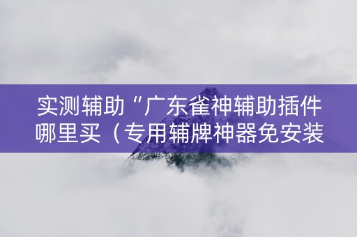 实测辅助“广东雀神辅助插件哪里买（专用辅牌神器免安装）