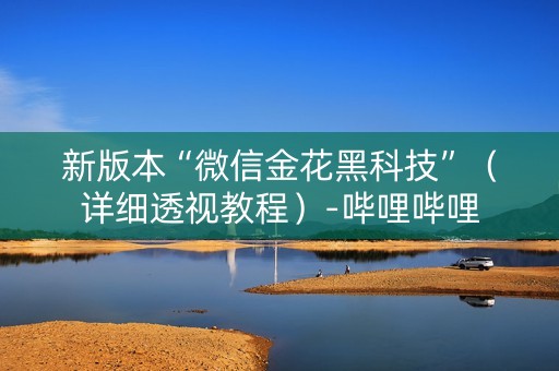 新版本“微信金花黑科技”（详细透视教程）-哔哩哔哩